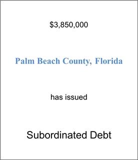 Palm Beach Health Care System Has Issued Subordinated Debt